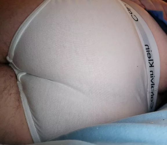 Bear butt in briefs
