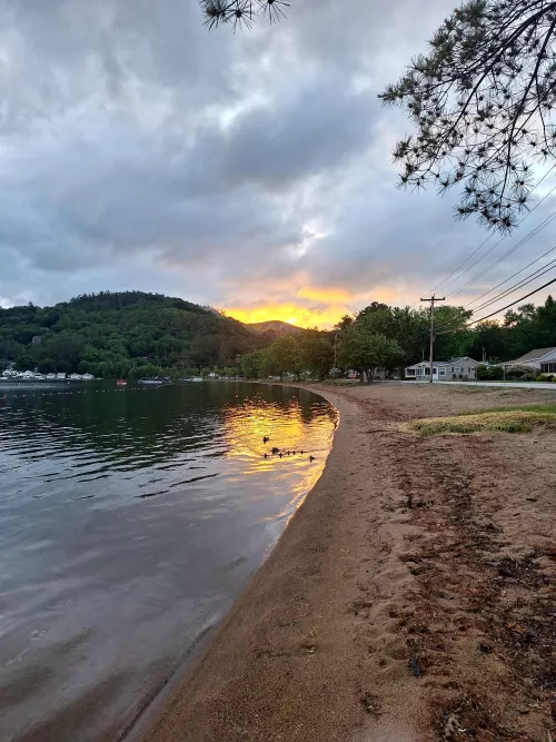 Its always gun seeing the baby ducks with there mothers 