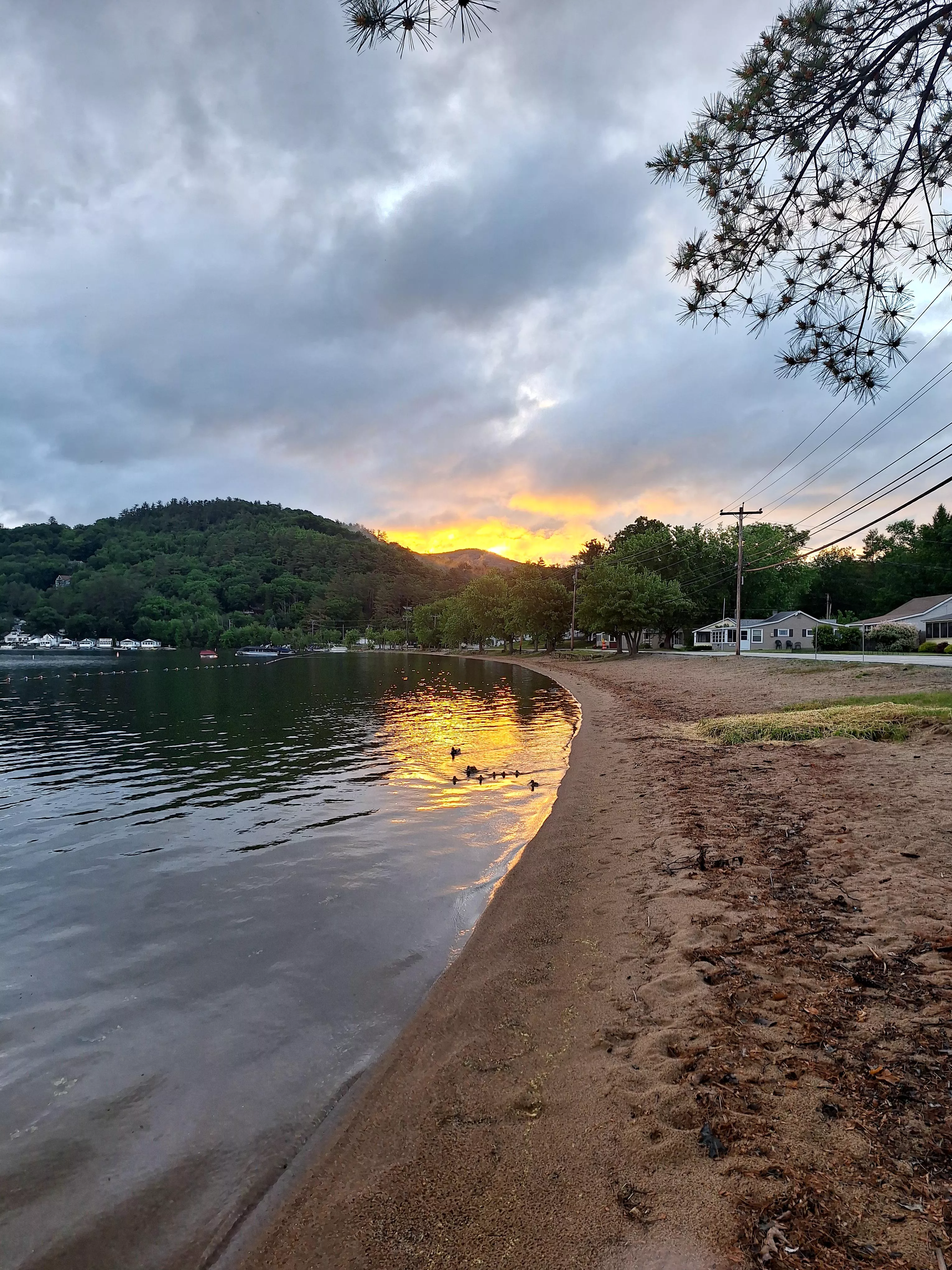 Its always gun seeing the baby ducks with there mothers 