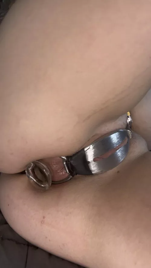 Locked and stuffed like a good little slut should be 😈