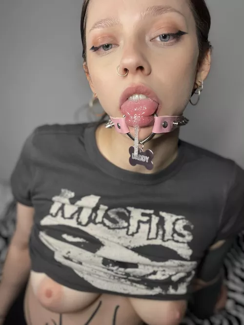 Sloppy the Misfits fun 