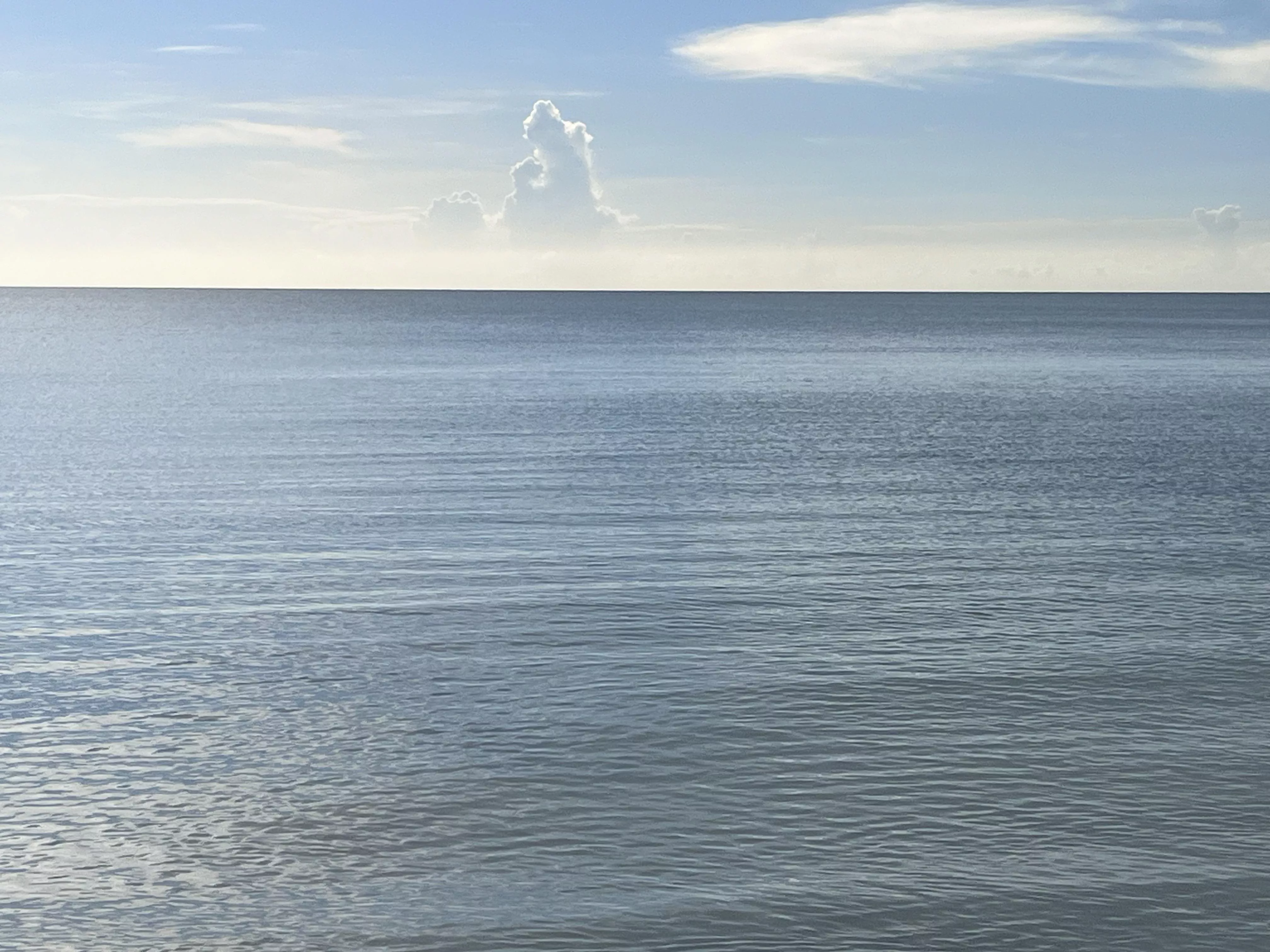 So much peace here in one picture