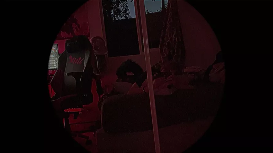 ✨ Spot the dog. Easy mode :P ✨