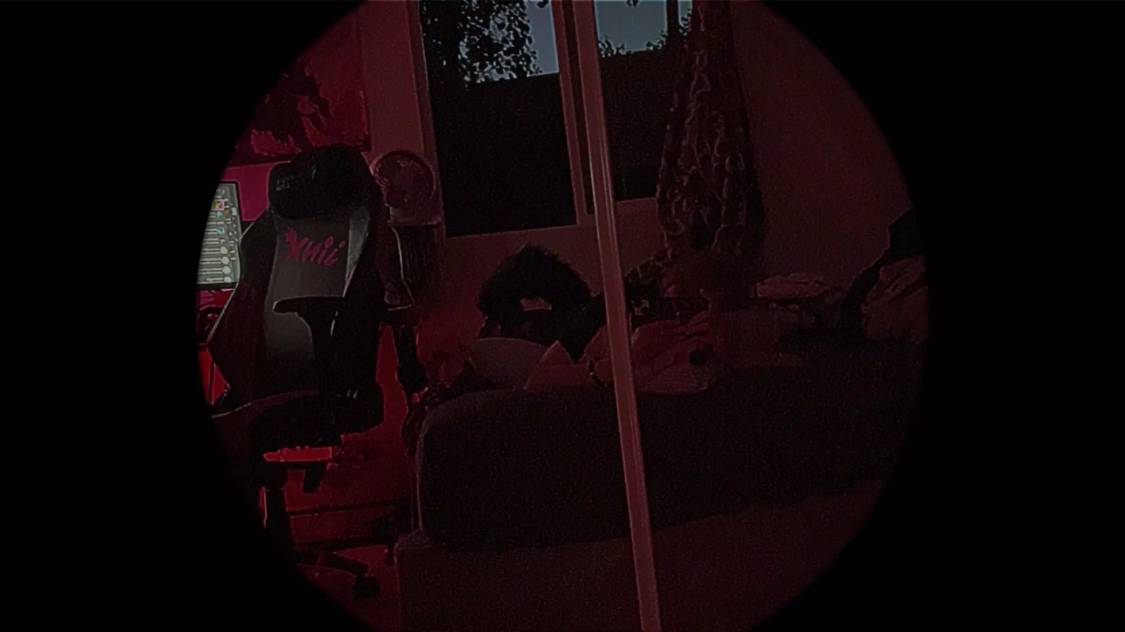 ✨ Spot the dog. Easy mode :P ✨