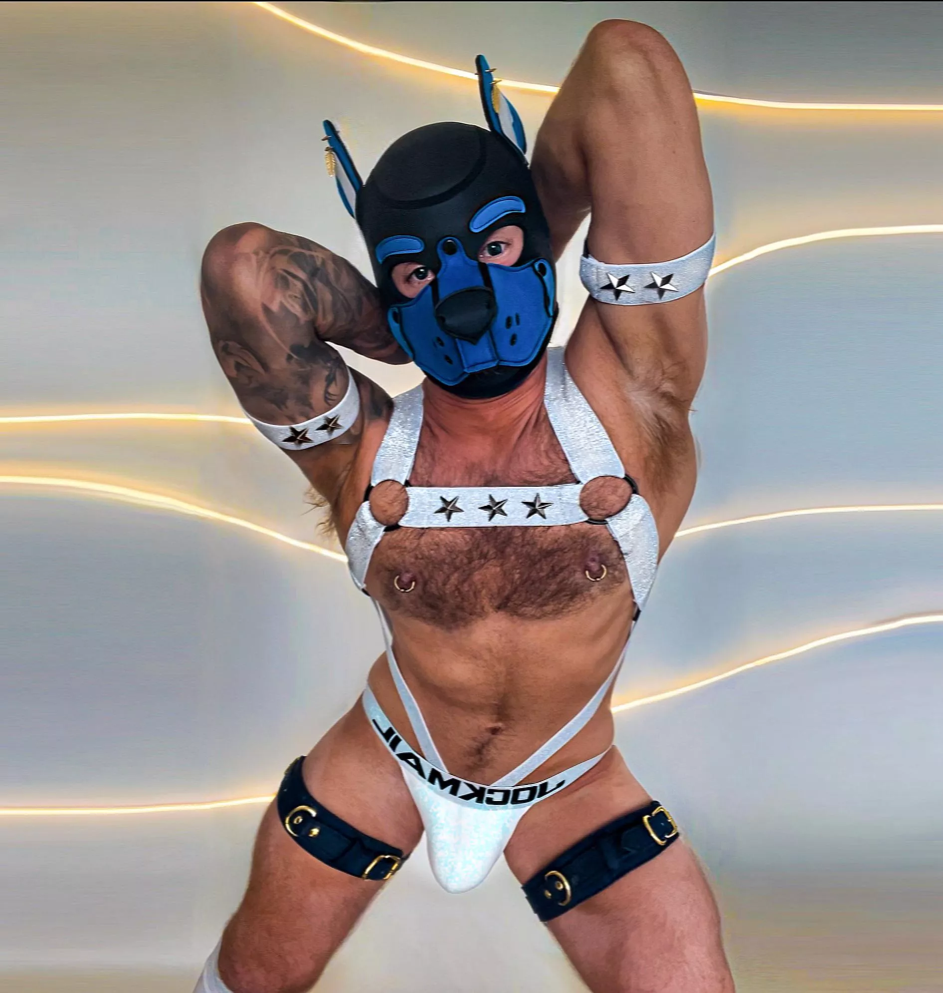 Stars & stripes forever 🐶