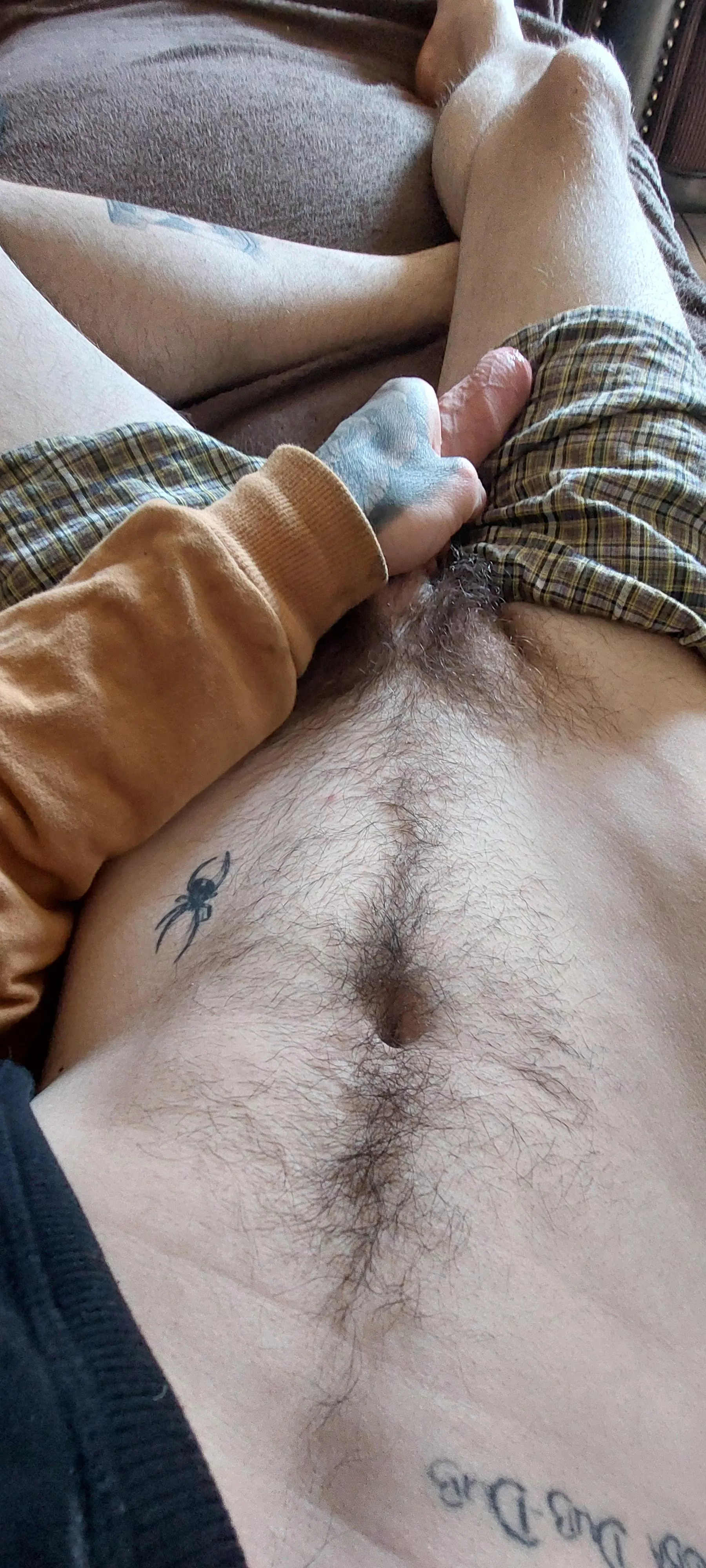 Uncut and slightly hairy