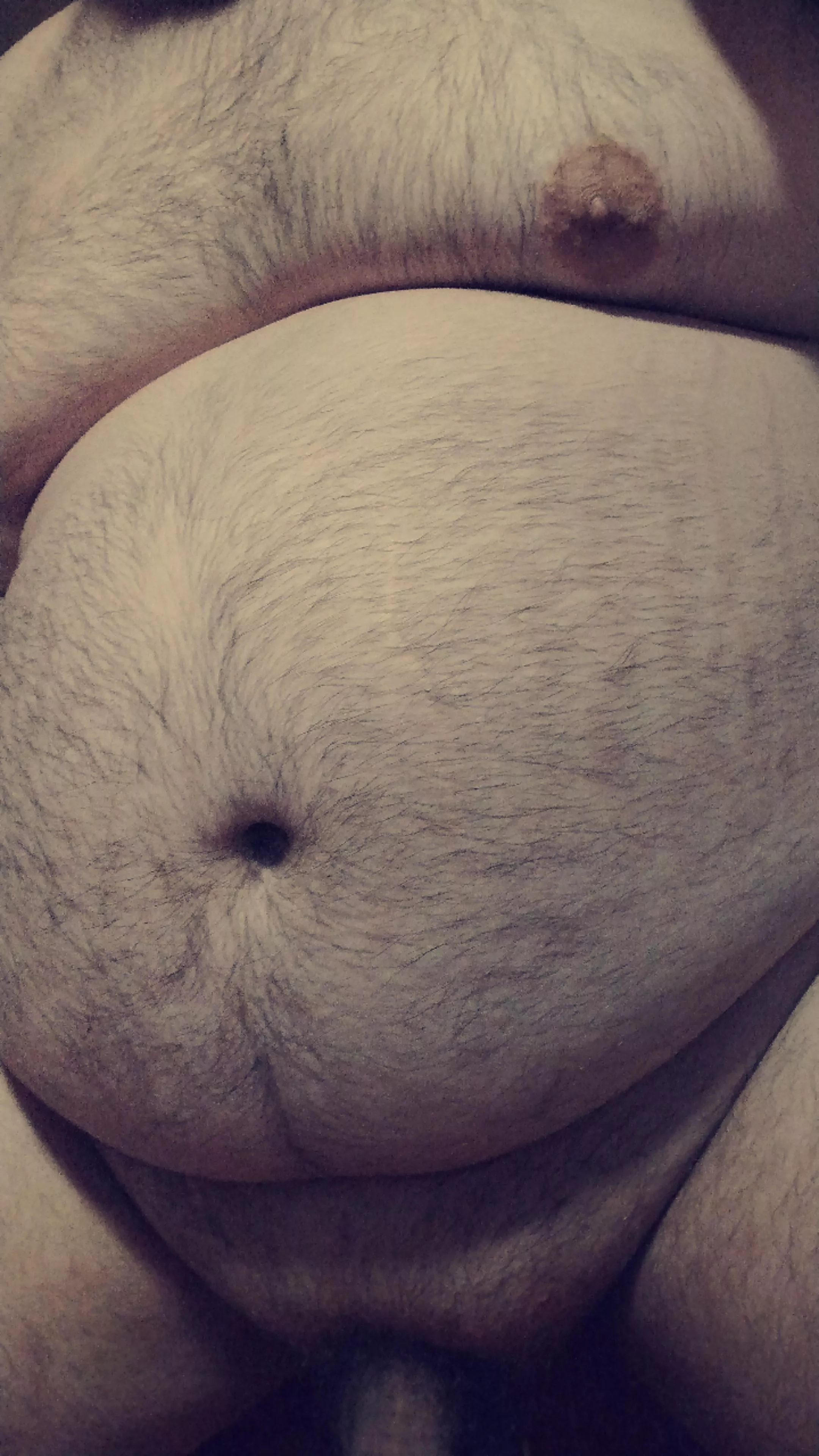 23 Bear, do I fit in here? 