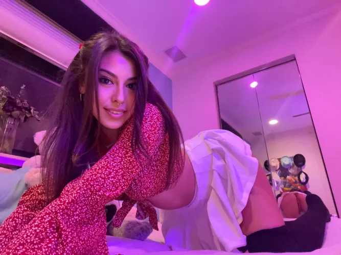 Colombian x Cuban & Asian 