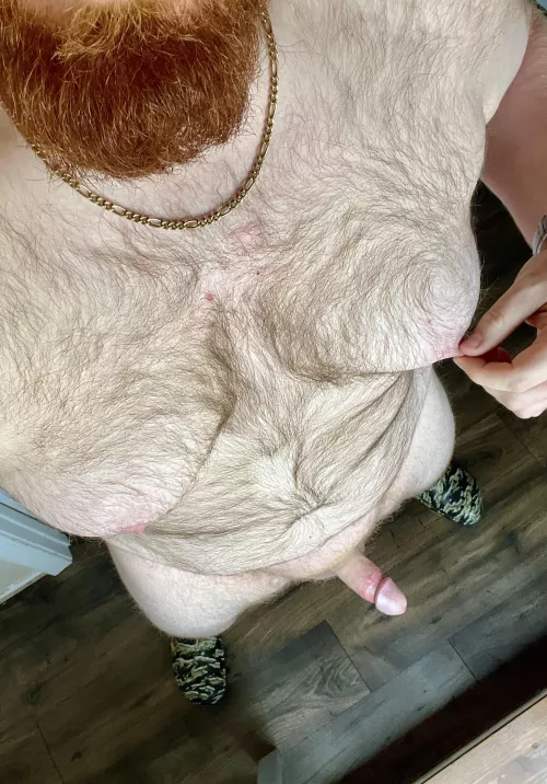 How do you feel about Cocks and Crocs? 😈