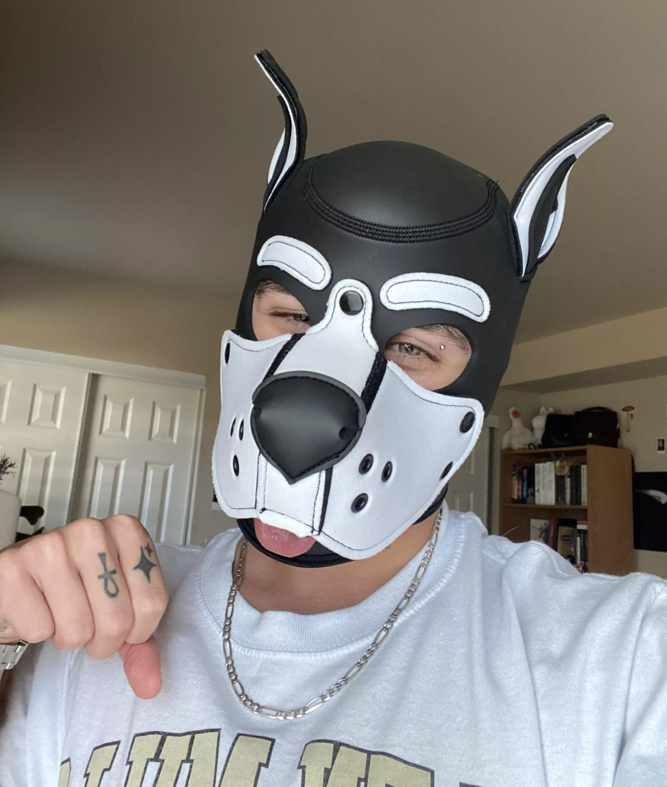 my small mr s hood comes tomorrow… excited to see the difference between the m and s size 🐶