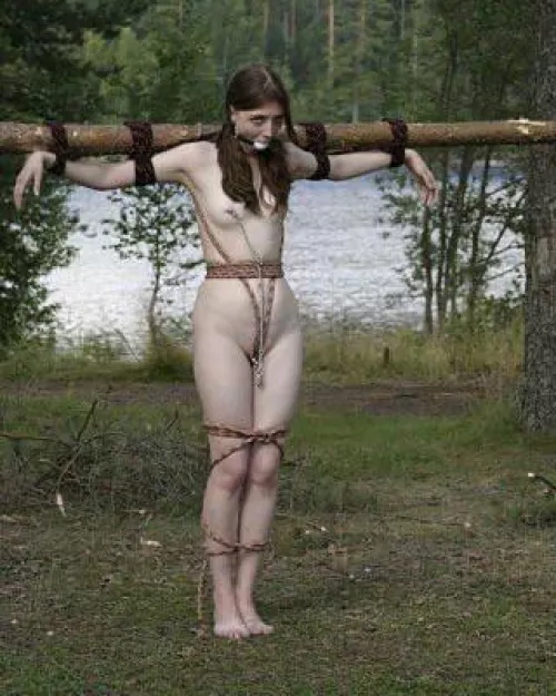 Unhappy yard ornaments 