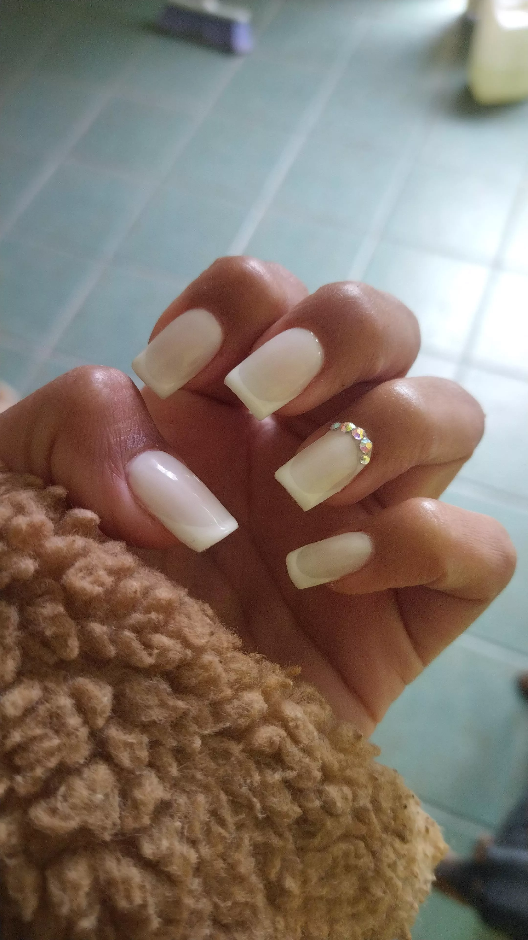 Frenchies are always perfect. 