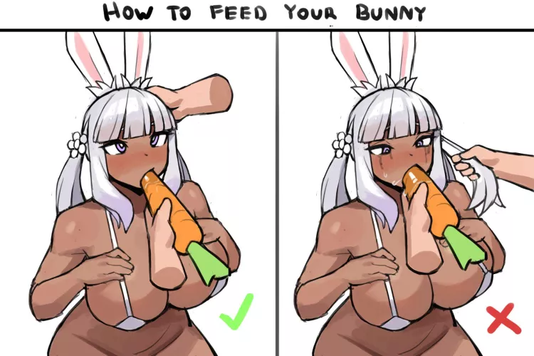 How to feed your bunny (Donburikazoku)