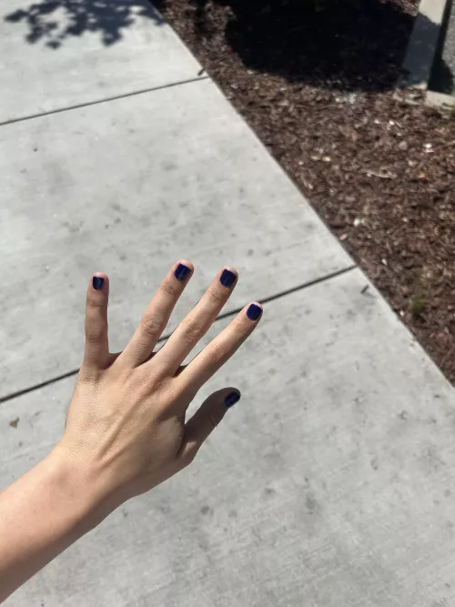 what do y'all think?