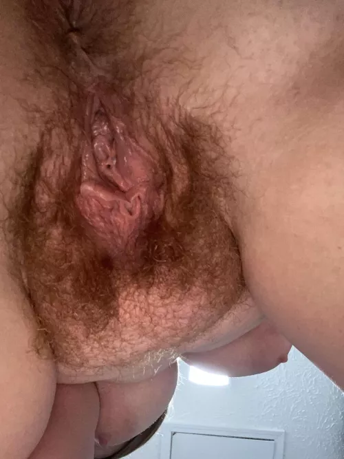 Do you think this [h]airy pussy is too much? Would you 👅 it?