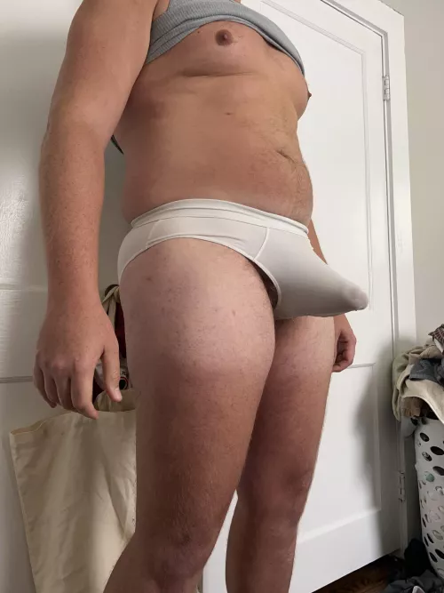 Pitching an absolute tent 