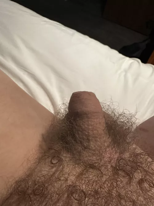 Username is grower for a reason… (hard in profile) (41)