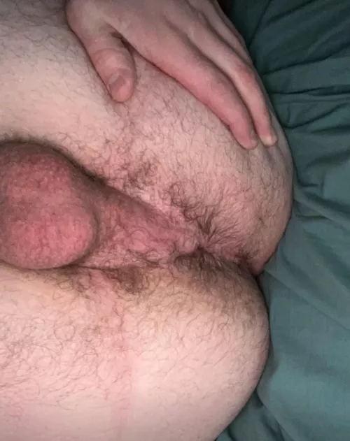 Who’s face can I sit on 