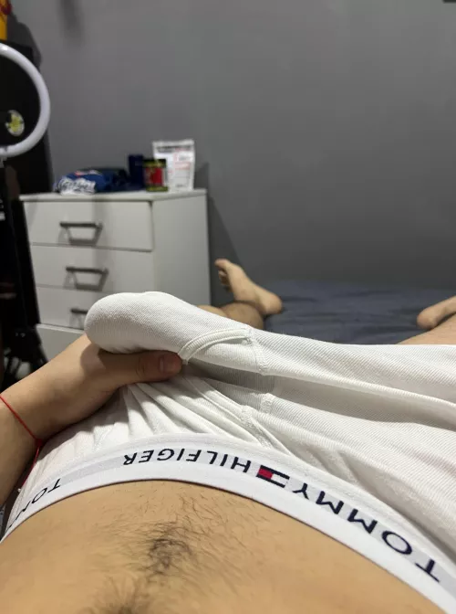 would you suck my cock?