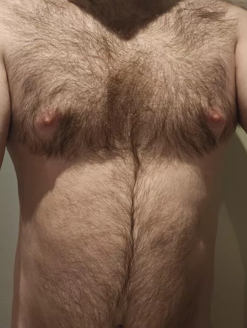 Any love for this hairy chest? 31 m4f
