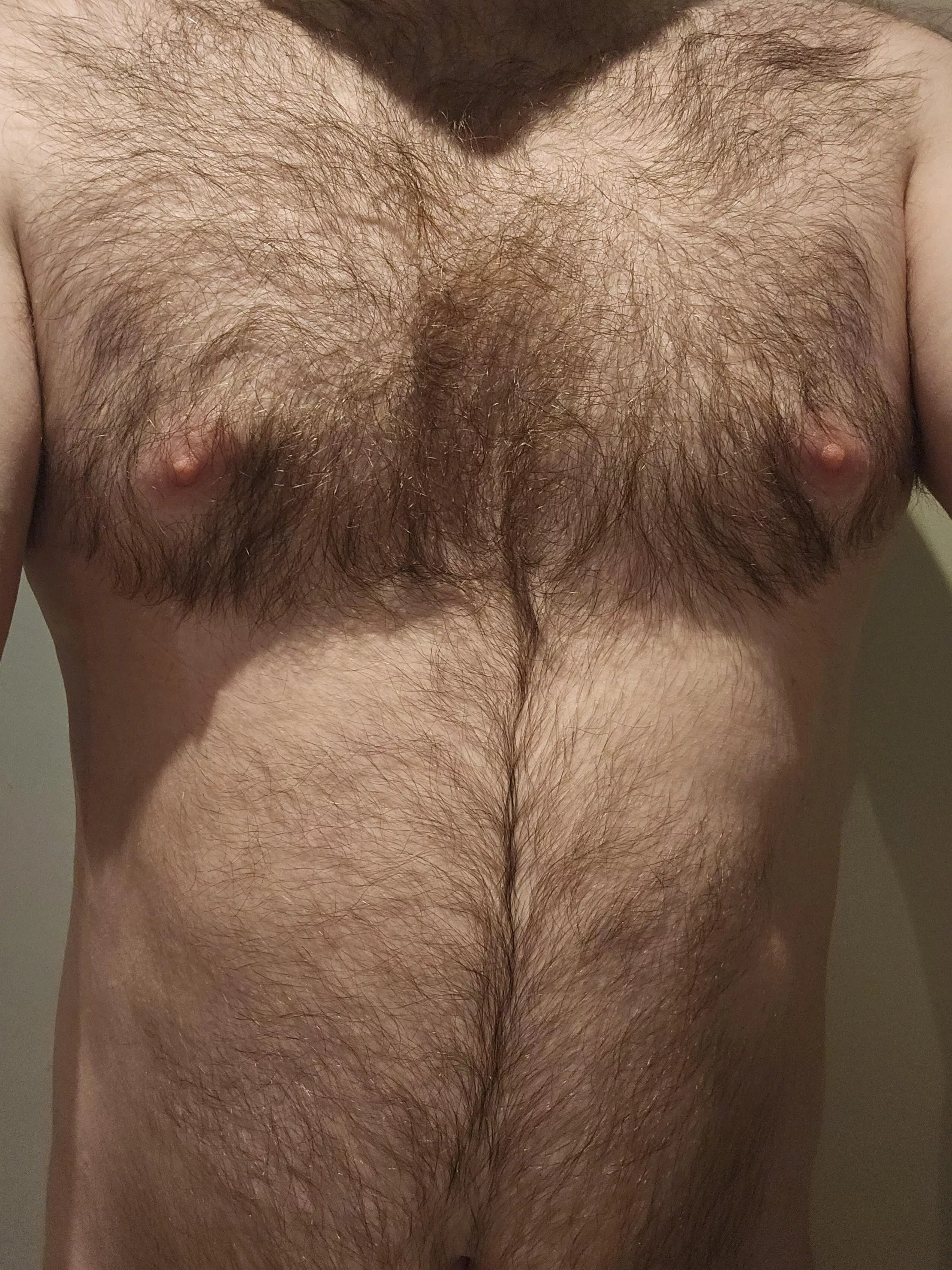 Any love for this hairy chest? 31 m4f