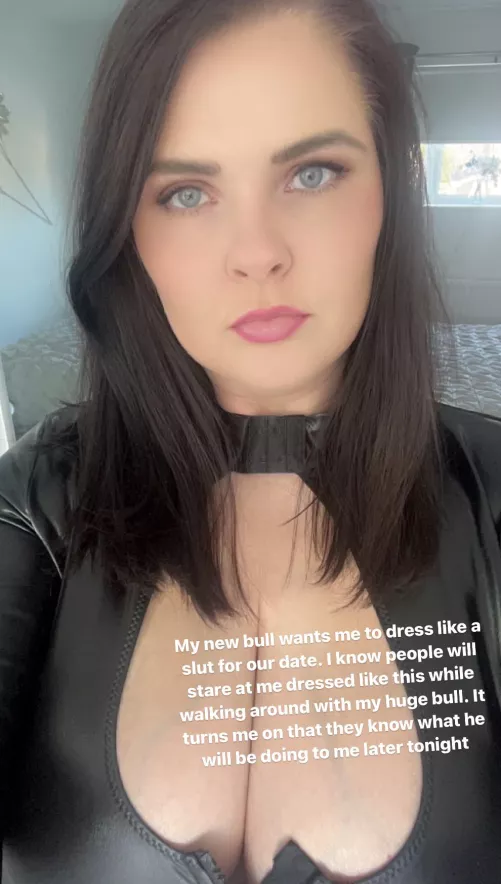 Date night with my new bull