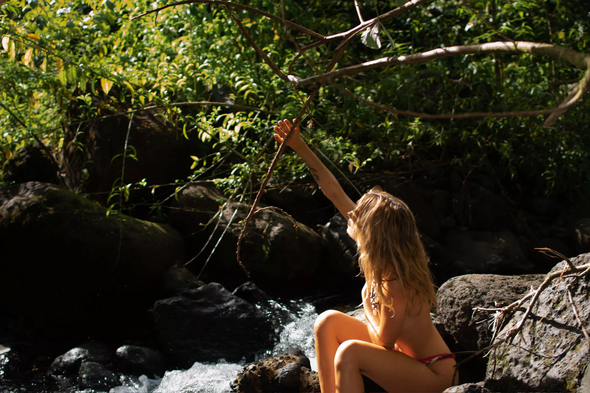 I am a sucker for nature