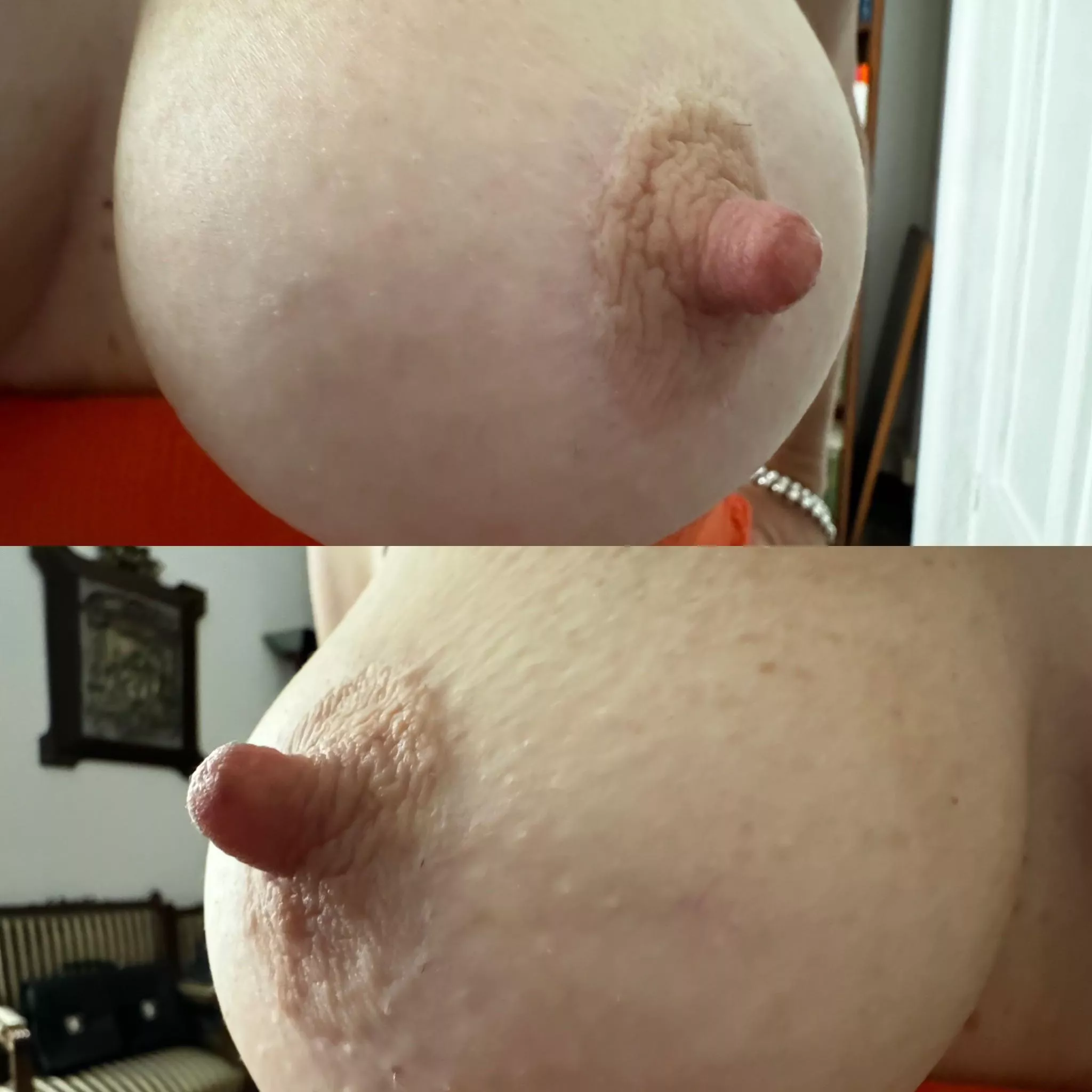 Perky and pointy, what else