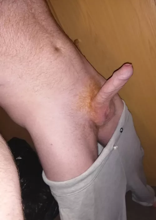 Suck my dick
