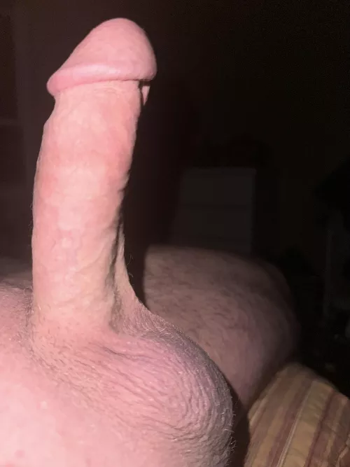 Tell me if you like my cock