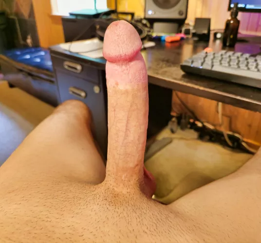 There is no better way to spend a Sunday than you servicing my huge cock