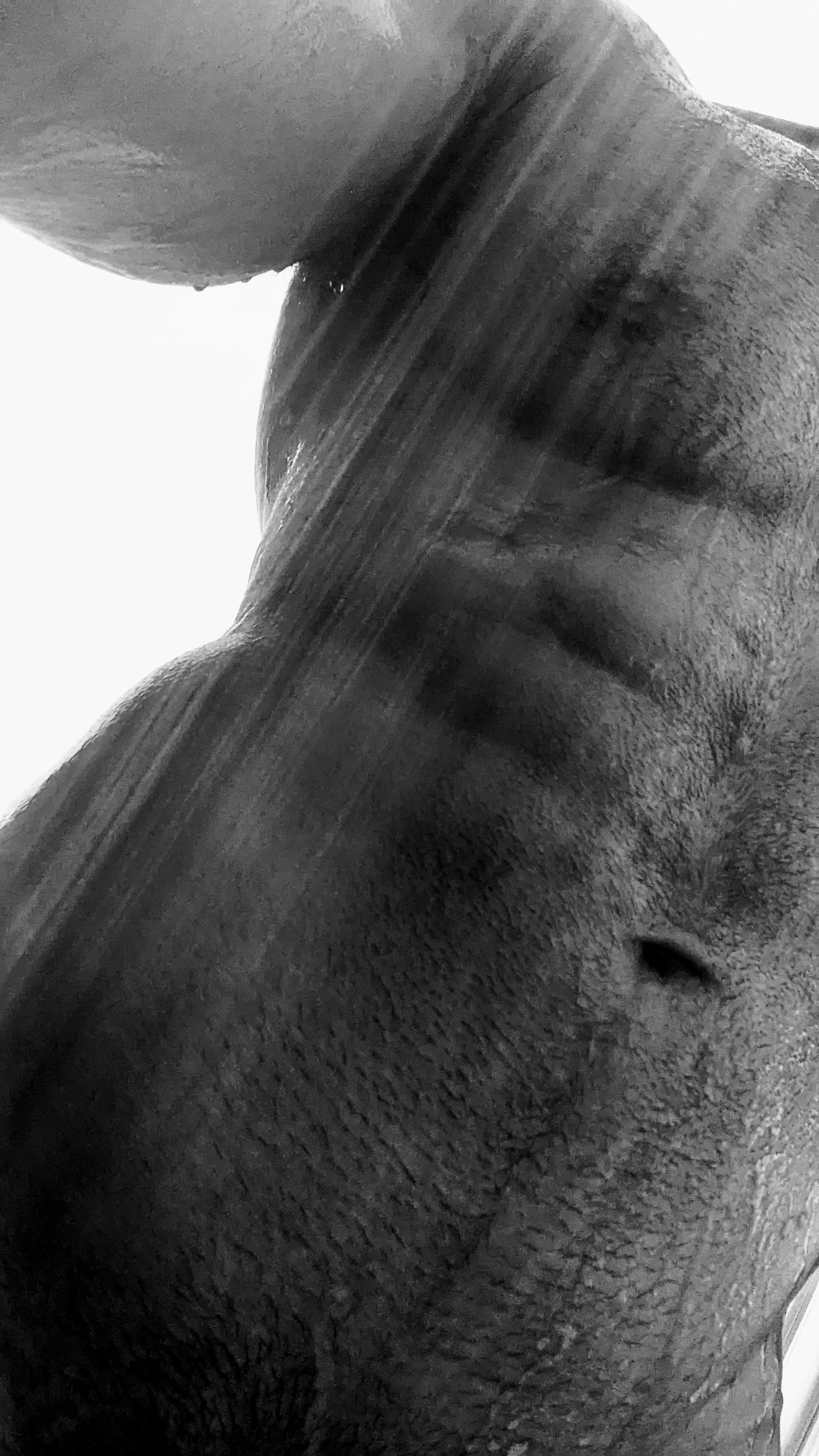 Your view if you were on your knees in the shower with (m)e 🥵