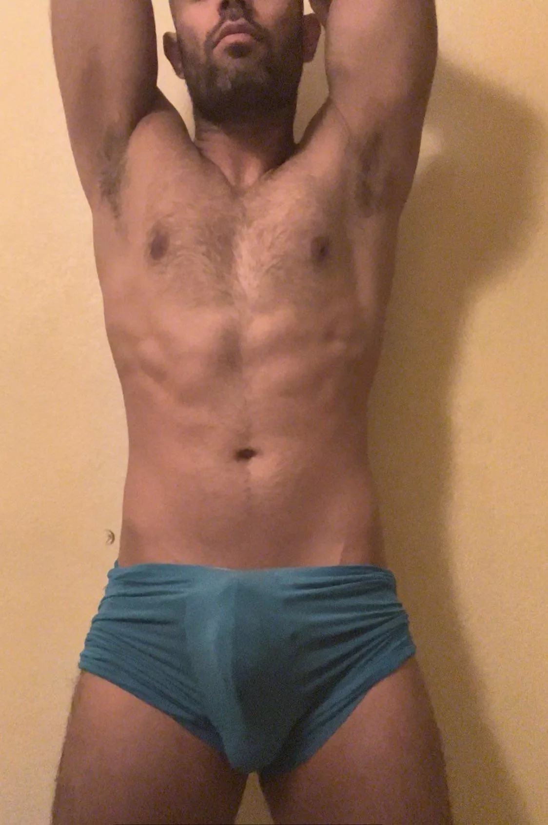 30 Male Bull Las Vegas 