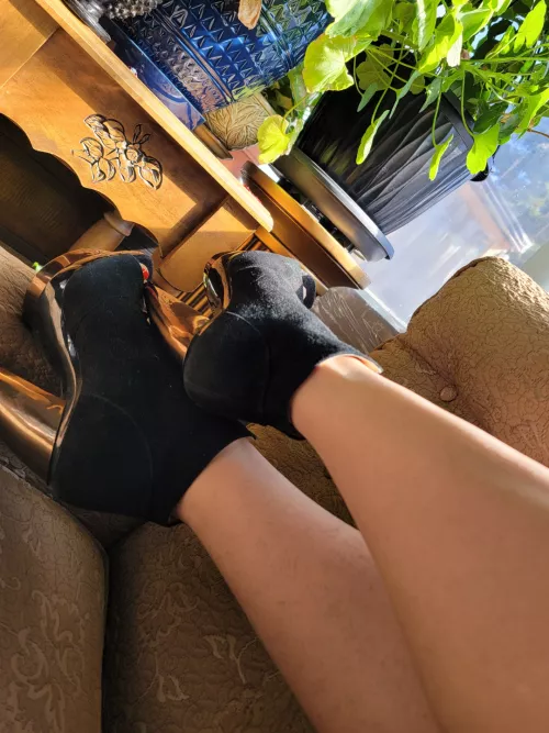 Black and gold,can't go wrong 