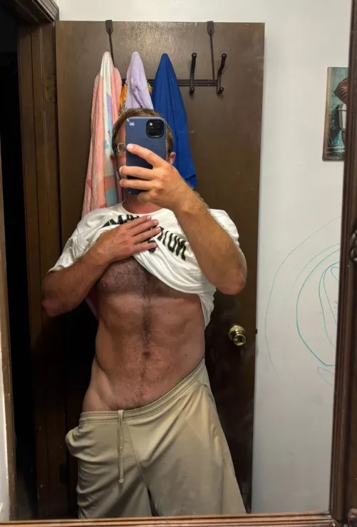 Can you find the elephant in the room?