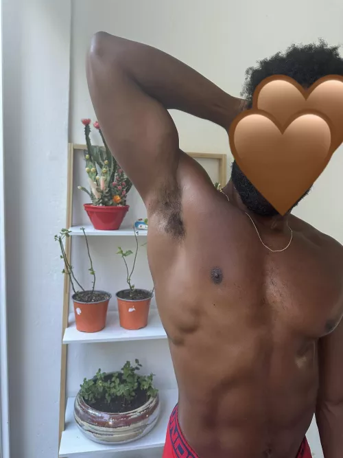 Do you like my mint garden?