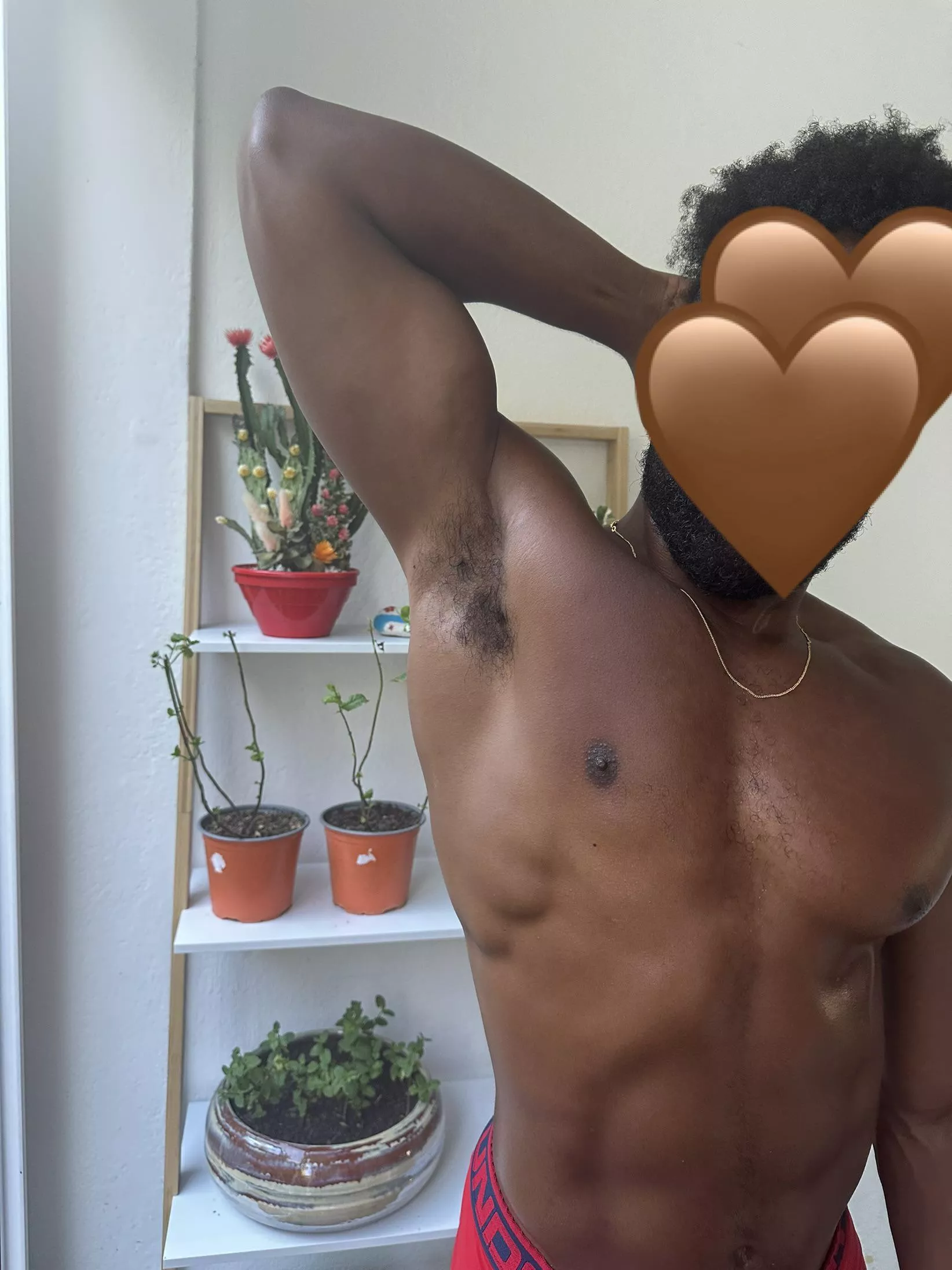 Do you like my mint garden?