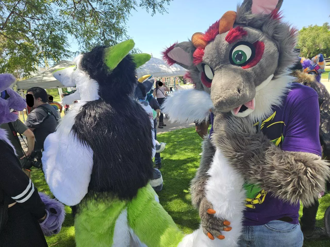 Hehe found me a long tail