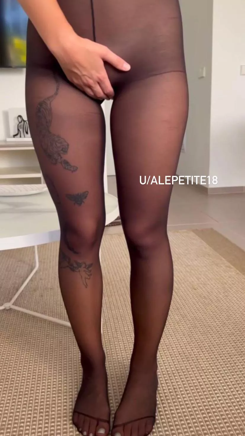 i always say yes to sex