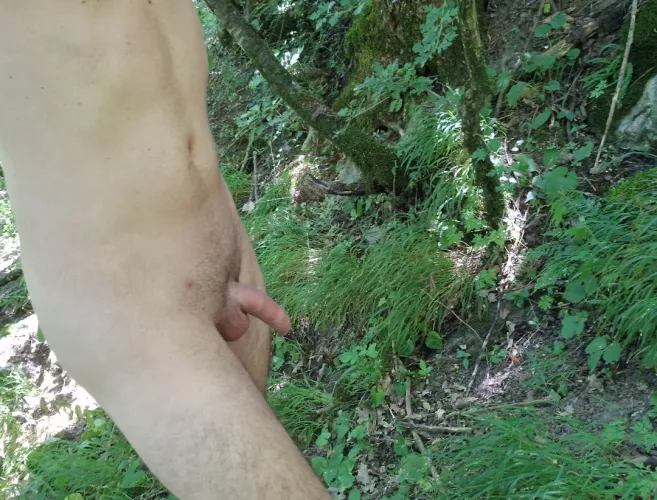 I know a little trail in the woods where you can walk like this without being worried. Well here I am