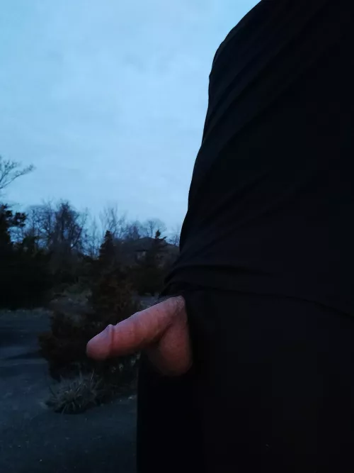 My cock comes out when the sun goes down 