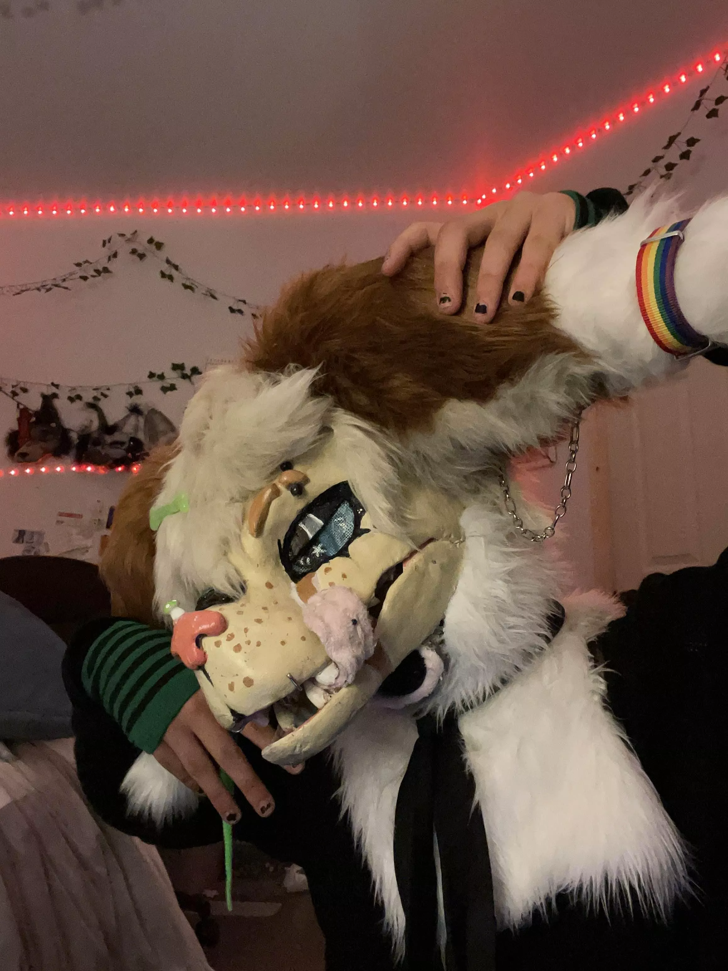 Say Hello to Blaire :3