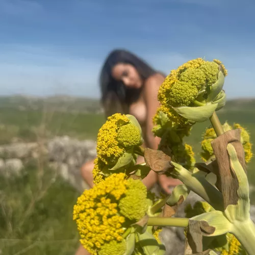 The beauty of nature surpasses all