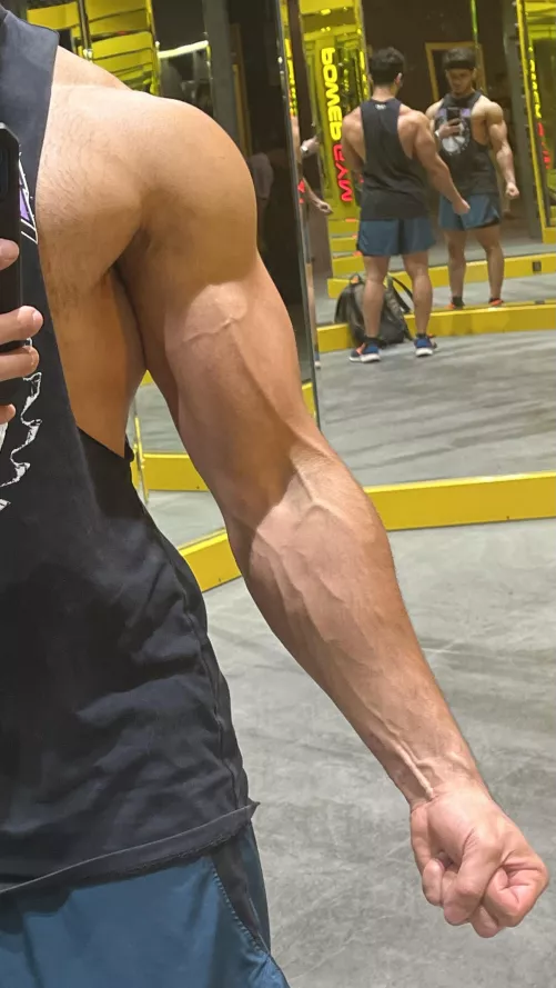 Veins 💢