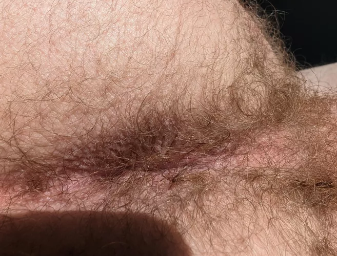 Can you even find my hole in all this fur?