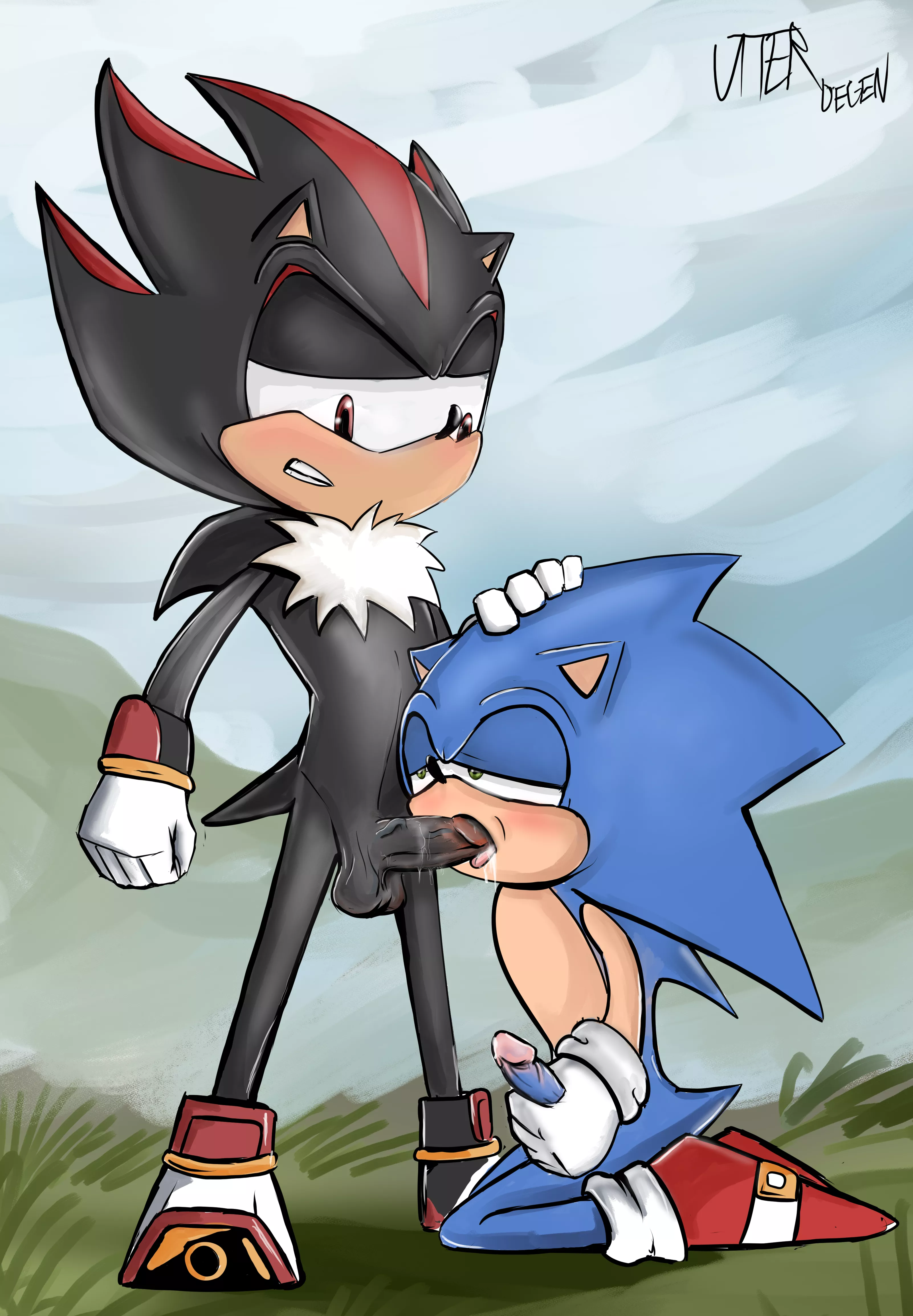 (OC) Sonic sucking shadow's cock