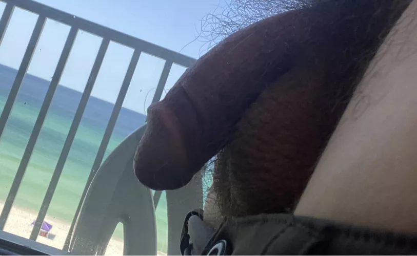 Should I wear a speedo to the beach 29 