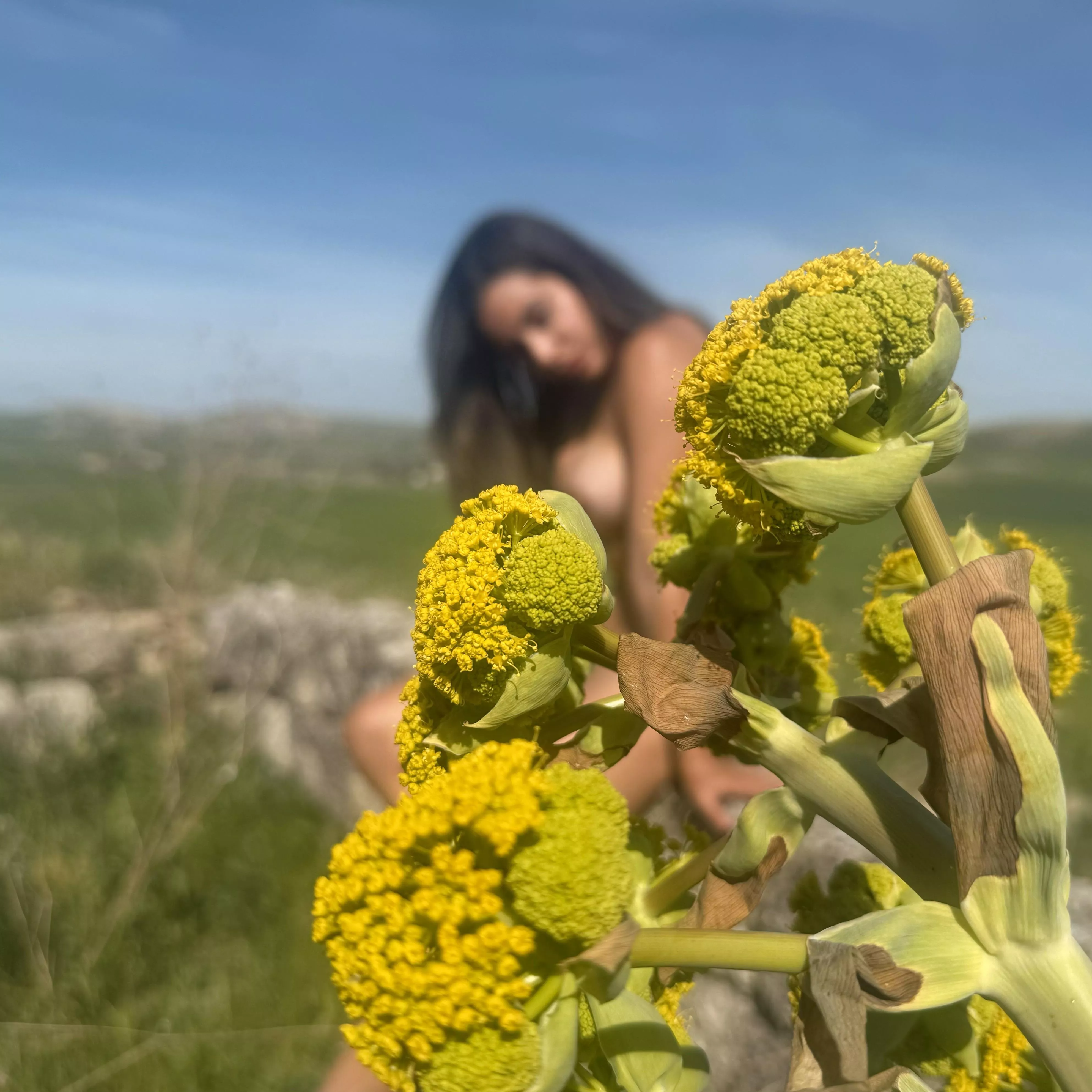 The beauty of nature surpasses all