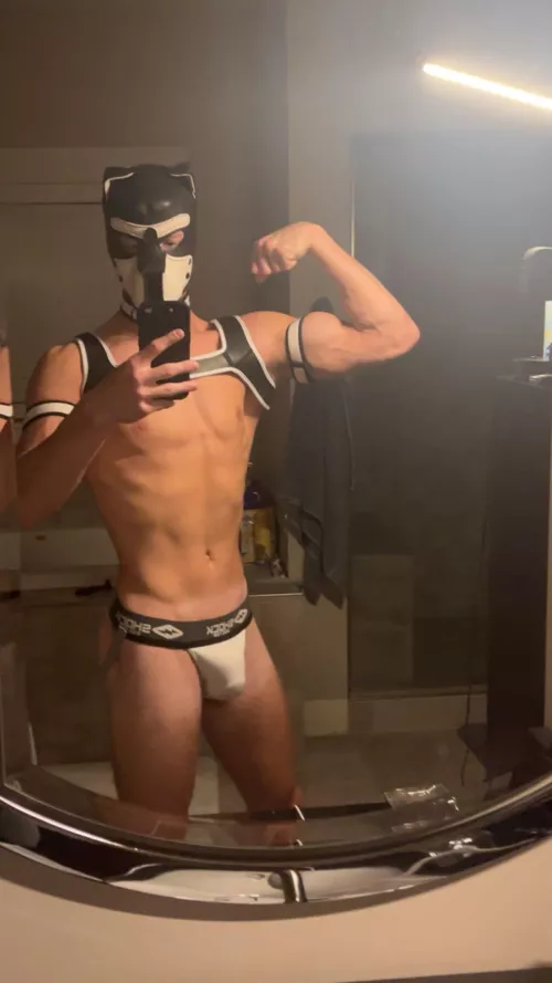 19 year old pup 🐶 