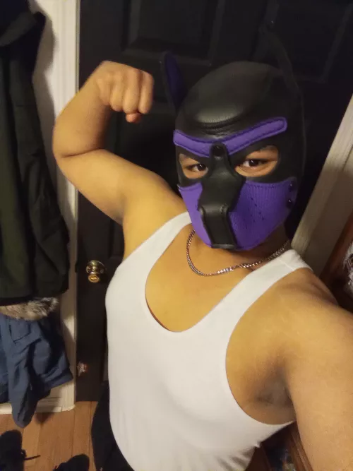 Any pups going to Breakaway music festival in Massachusetts?